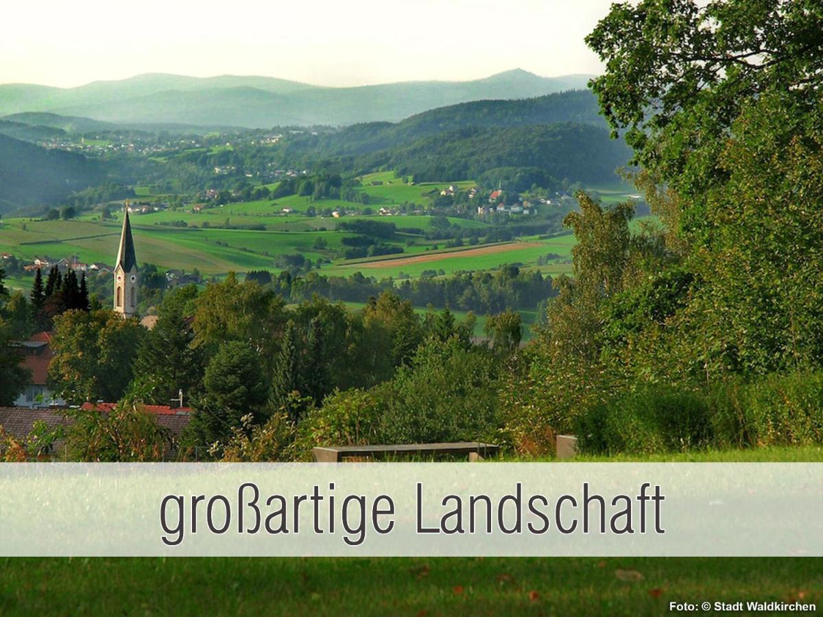 Huette41: Ganze Huette Nah Am See Mit Privatem Whirlpool, Sauna. Umzaeunt. Waldkirchen Exterior foto