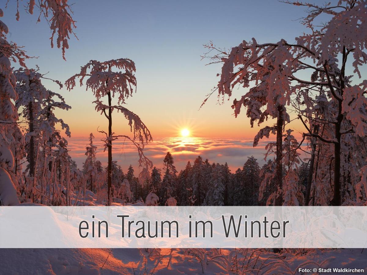 Huette41: Ganze Huette Nah Am See Mit Privatem Whirlpool, Sauna. Umzaeunt. Waldkirchen Exterior foto