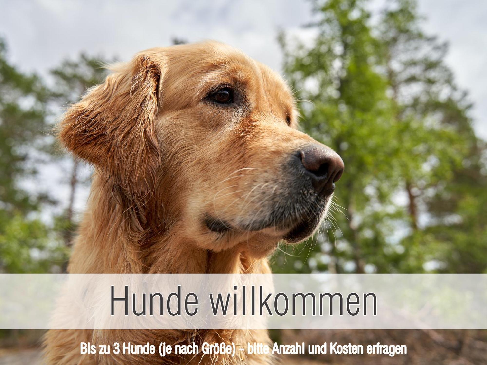 Huette41: Ganze Huette Nah Am See Mit Privatem Whirlpool, Sauna. Umzaeunt. Waldkirchen Exterior foto